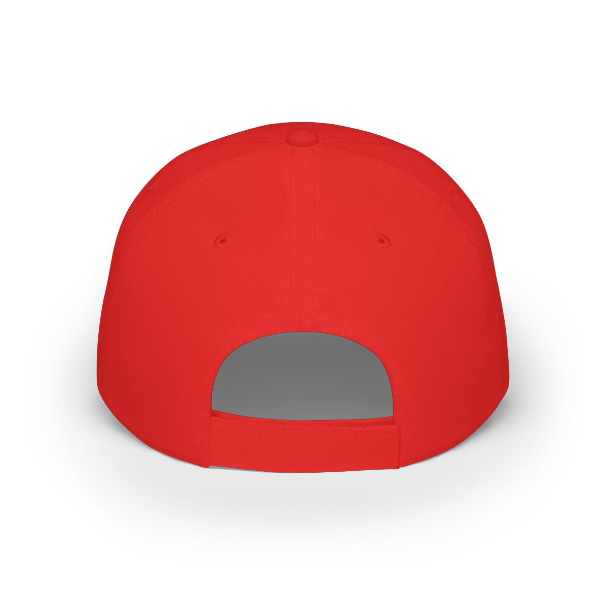 Salish Matter Baseball Cap #3 - alternate angle 1, merchandise